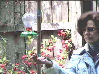 my Wife hand-feeding a Humming bird
