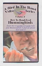 hummingbird video