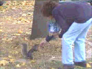 hand-feeding a Squirrel