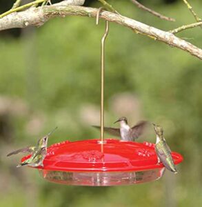 non-leaking hummingbird feeder