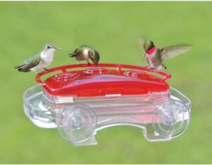 hummingbird window feeder