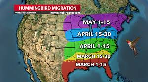 Ruby-throated hummingbird migration map