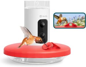 hummingbird feeder with a camera