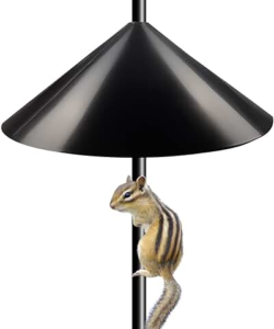 squirrel and baffle on feeder pole