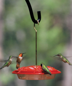 Hummzinger feeder with hummingbirds